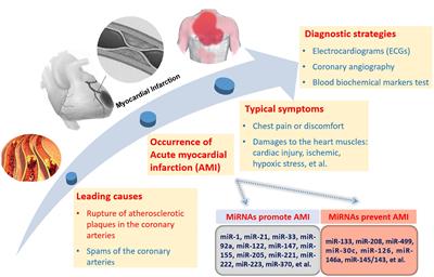 Circulating MicroRNAs: Biogenesis and Clinical Significance in Acute Myocardial Infarction